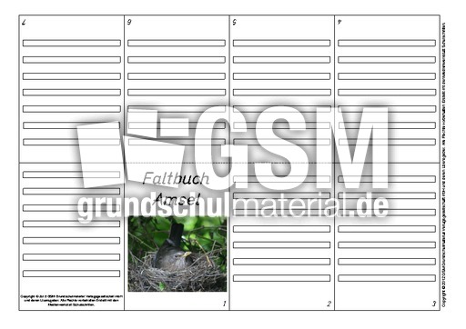 Faltbuch-Amsel-L-3.pdf